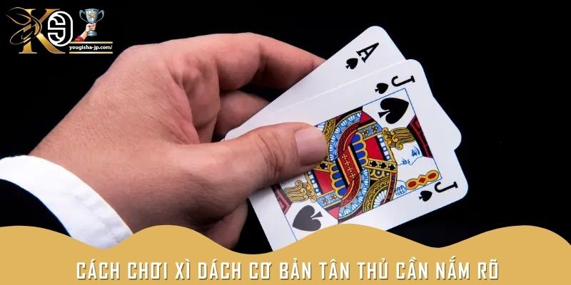 Cách chơi Xì Dách cơ bản tân thủ cần nắm rõ