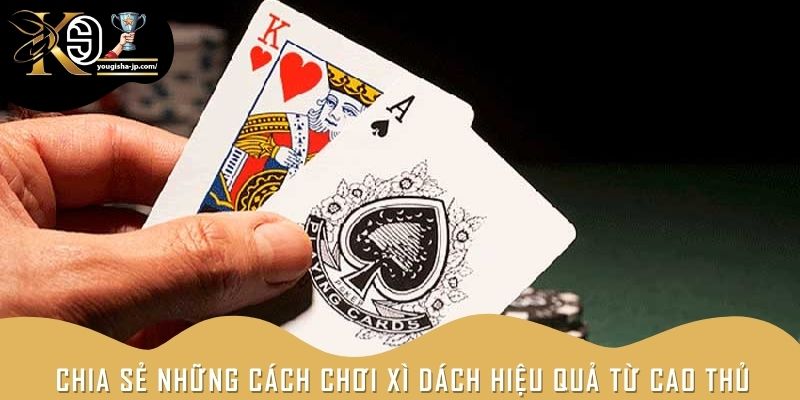 Chia sẻ những cách chơi Xì Dách hiệu quả từ cao thủ