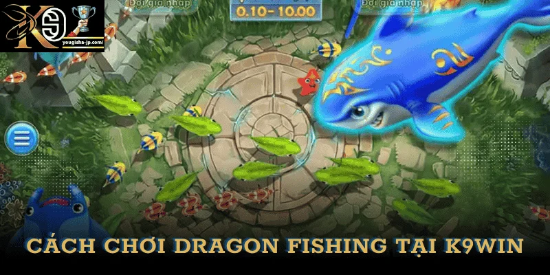 cach-choi-ban-ca-long-vuong-k9win