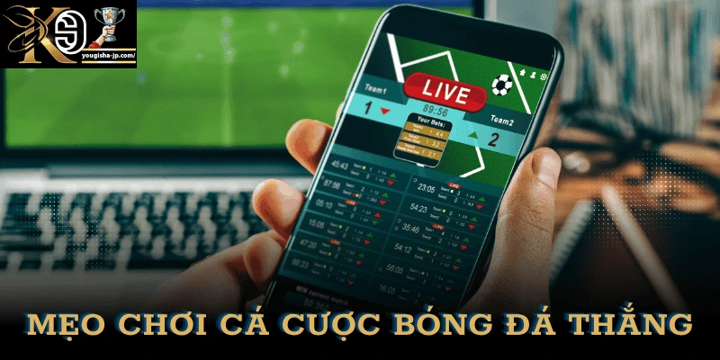 cach-choi-ca-cuoc-bong-da-luon-thang