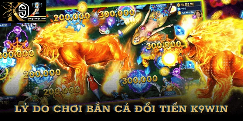 ly-do-choi-ban-ca-doi-tien-k9win