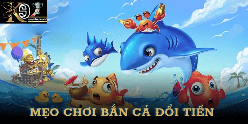 meo-choi-ban-ca-doi-tien-k9win