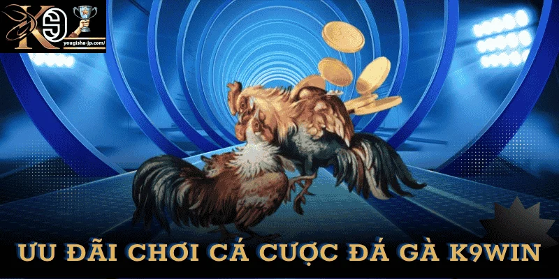 uu-dai-ca-cuoc-da-ga-k9win