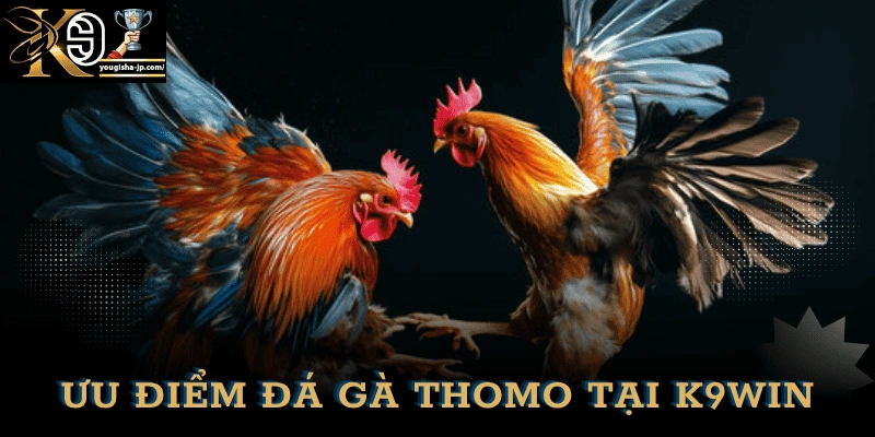 uu-diem-da-ga-thomo-k9win